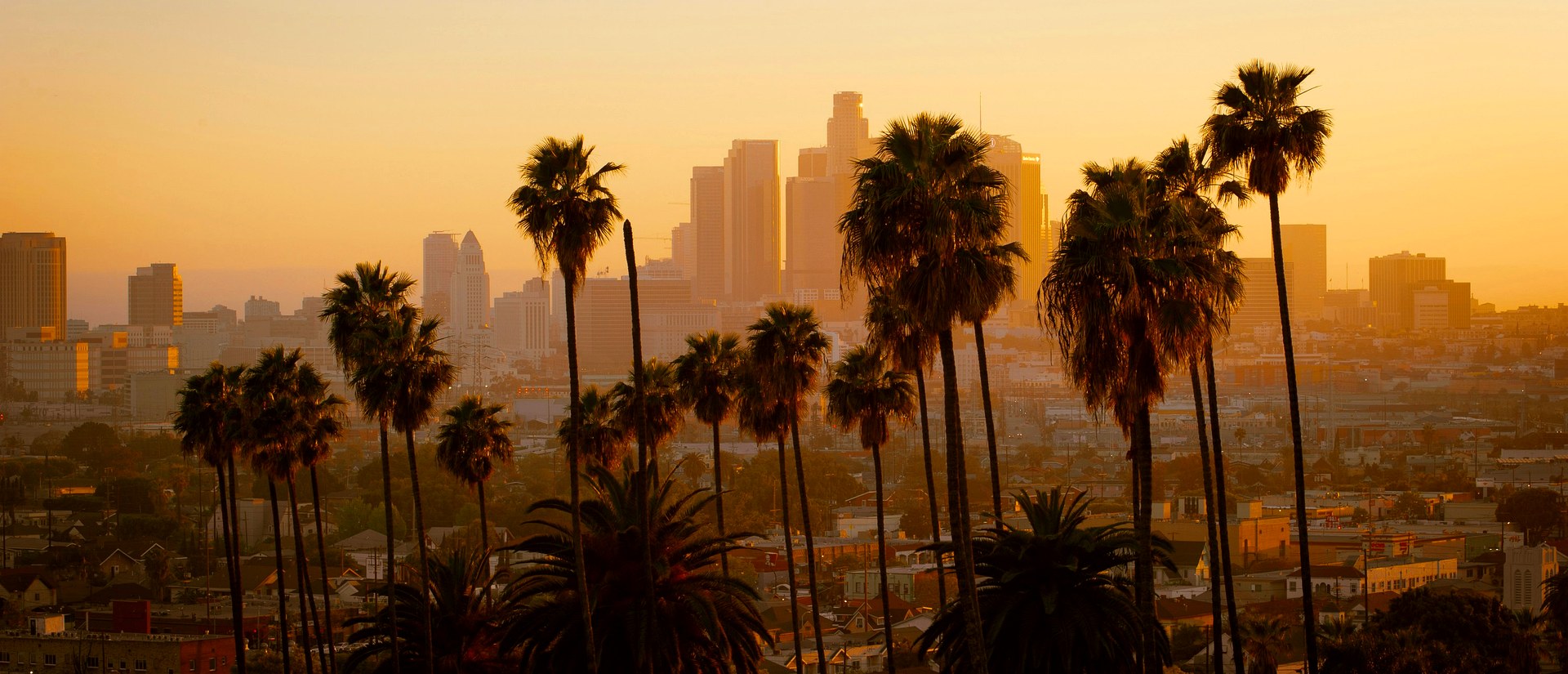 Les palmiers et la skyline de Los Angeles au coucher du soleil